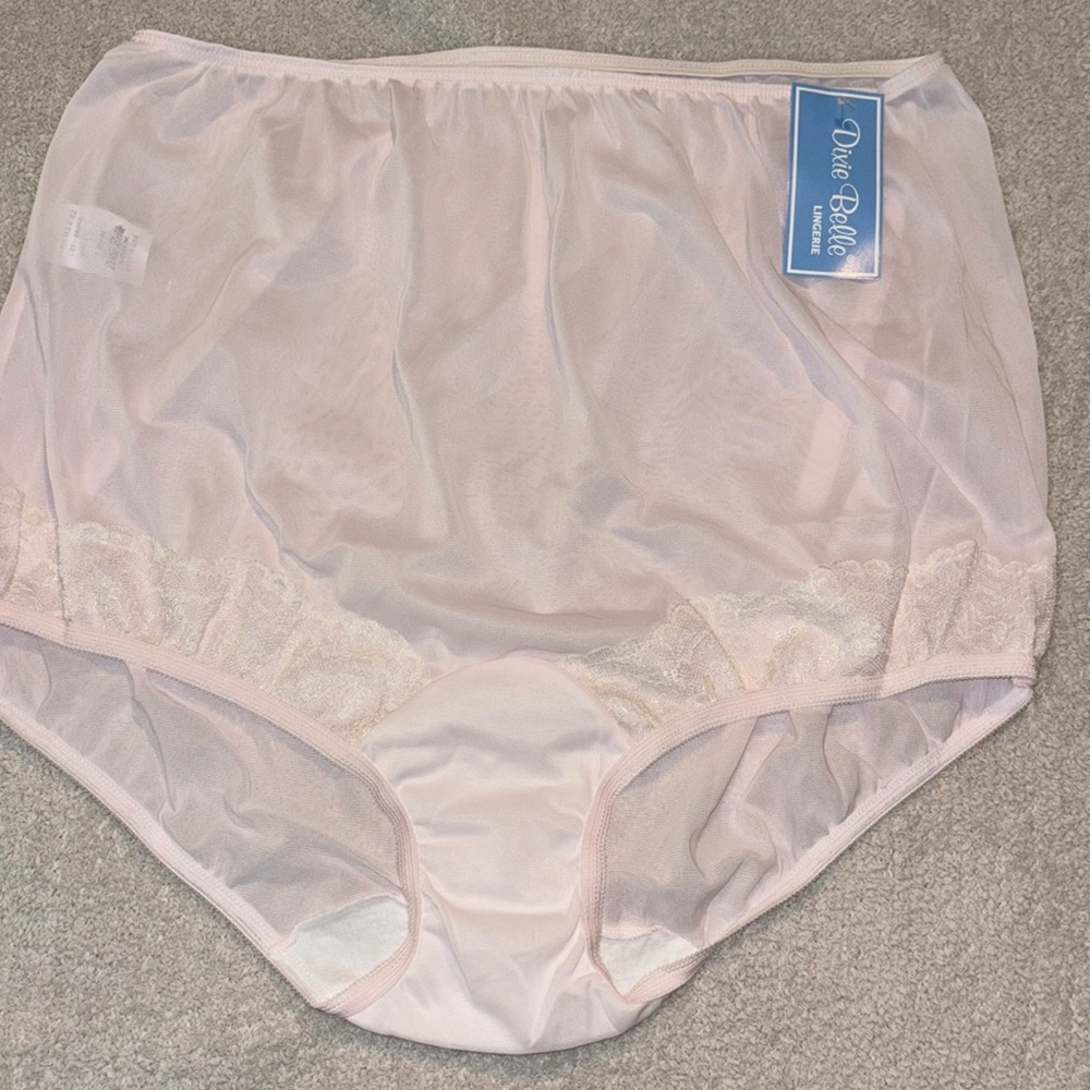 Dixie Belle Women’s Classic Nylon Briefs Panty Powder Light Pink Size 10 VINTAGE